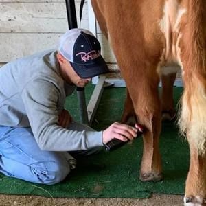 Meet your Posher, Joe